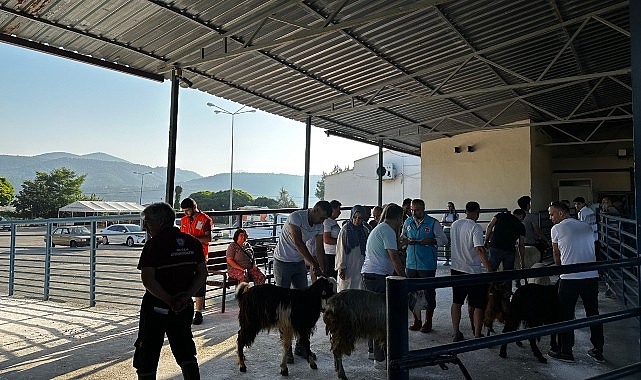 Büyükşehir Mezbahaları Kurban Bayramı’na Hazır