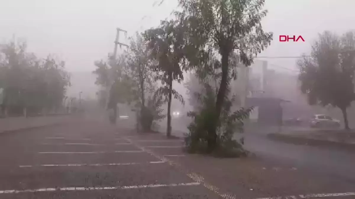 Diyarbakır’da Sis Uçak Seferlerini Geciktirdi