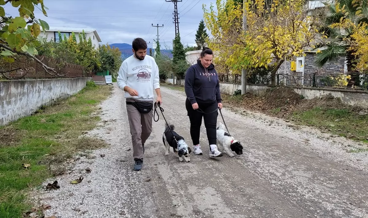 Köpek Eğitimi Artık Evde: Baybars Üregen ile Yeni Yaklaşım